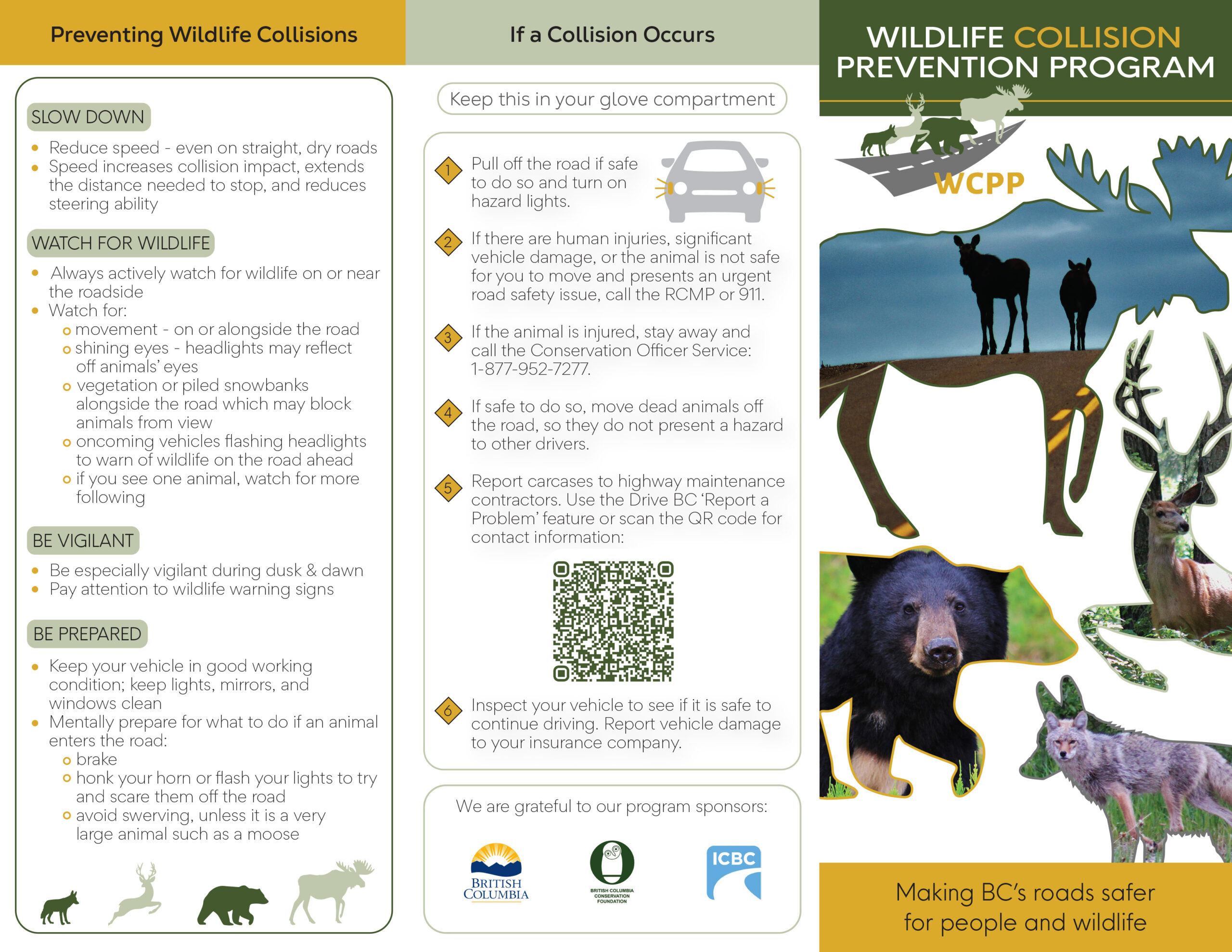 Wildlife Collision Prevention Program Brochure